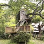 【岡山でドライブしながら楽しめるカフェ】リアルジブリパーク！？晴れの国岡山でのんびりドライブしながら楽しめるカフェまとめ。